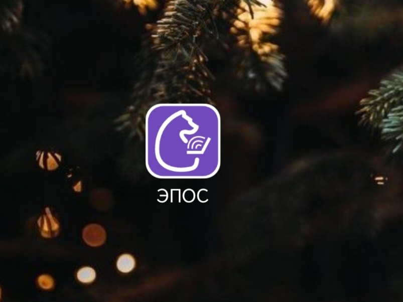    Фото: В курсе.ру Полина Анкушина