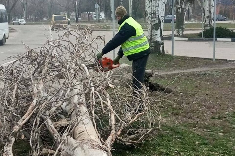    За ноябрь и декабрь 2025 года в ДНР спилили более 700 аварийных деревьев. Фото: ТГ/Пушилин