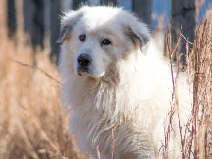 Реальная история рассказанная Татьяной Прохоровой