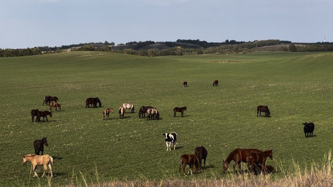    Анна Сальникова