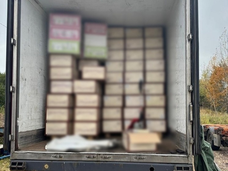     Фото: пресс-служба Северо-Западного таможенного управления.