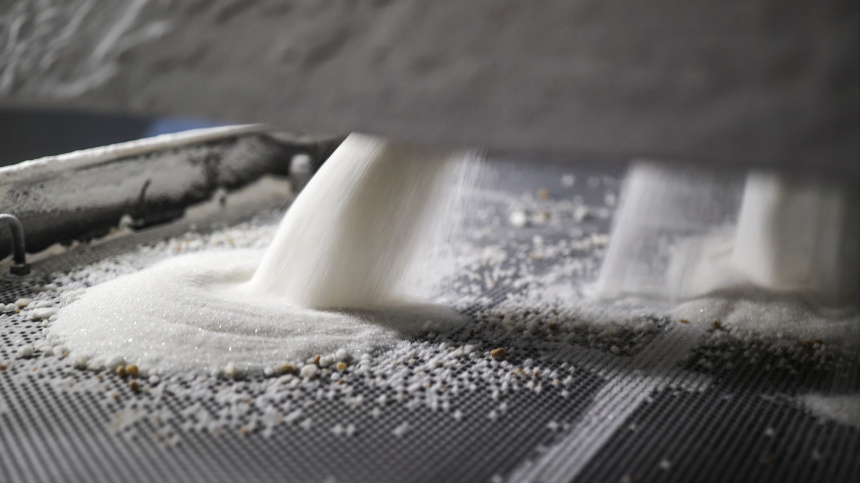    Фото: © РИА Новости/Виталий Тимкив