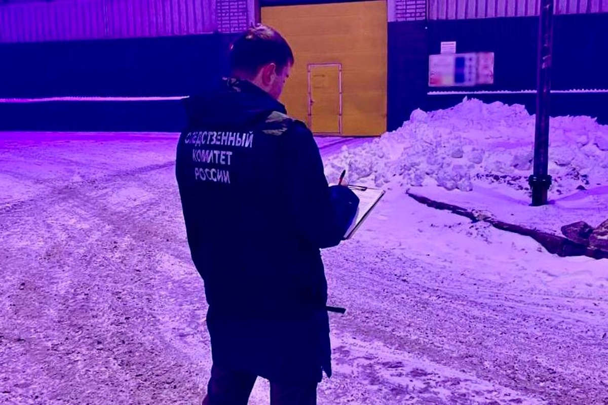    Фото: СУ СКР по Вологодской области, источник: вести35.рф