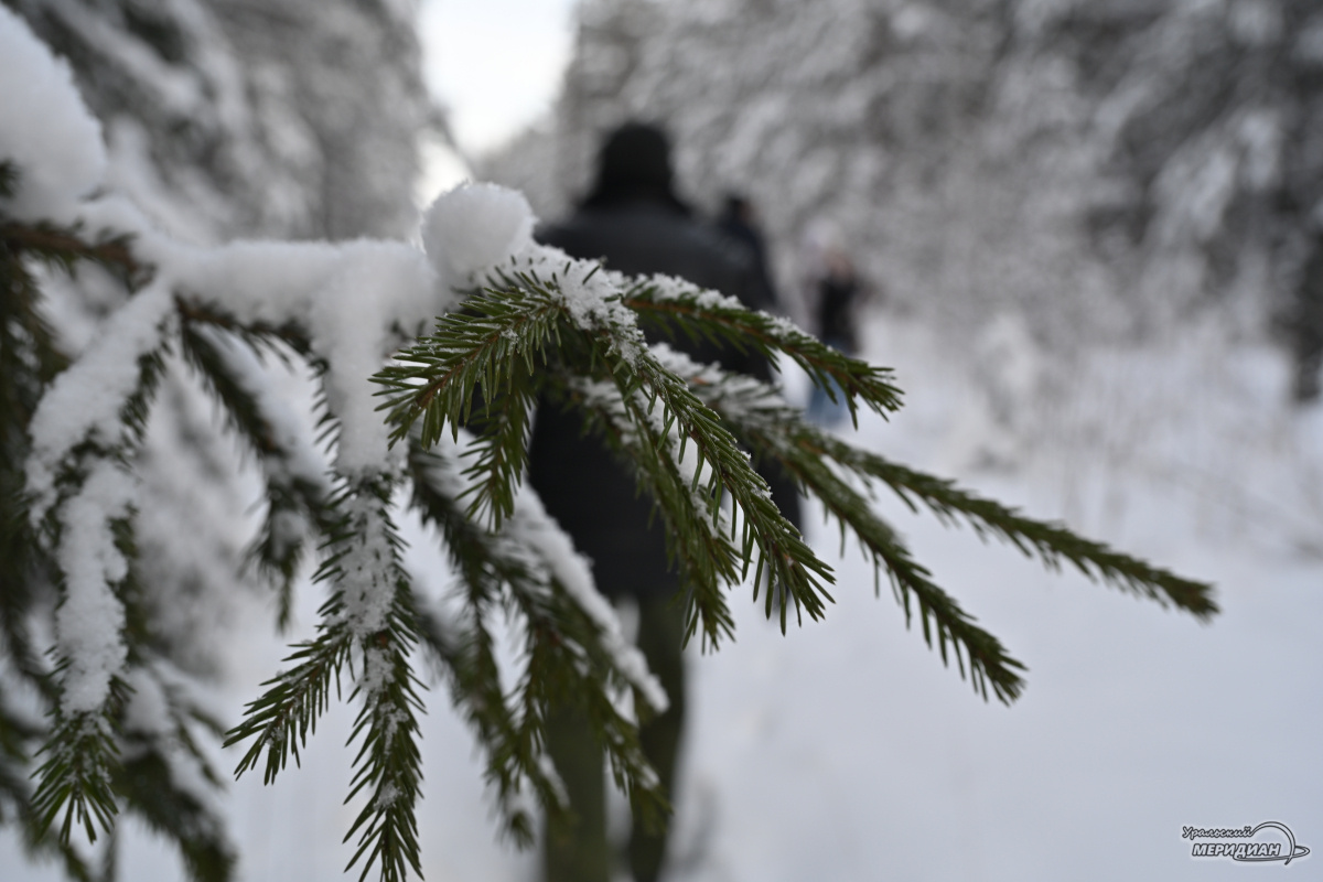    Фото: Анастасия Сибирякова © ИА «Уральский меридиан»