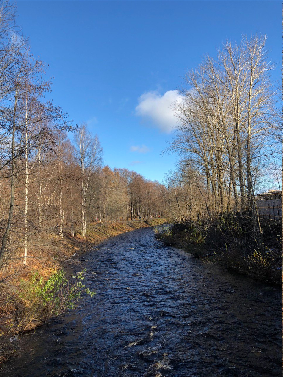 Река Лососинка. Фото автора.