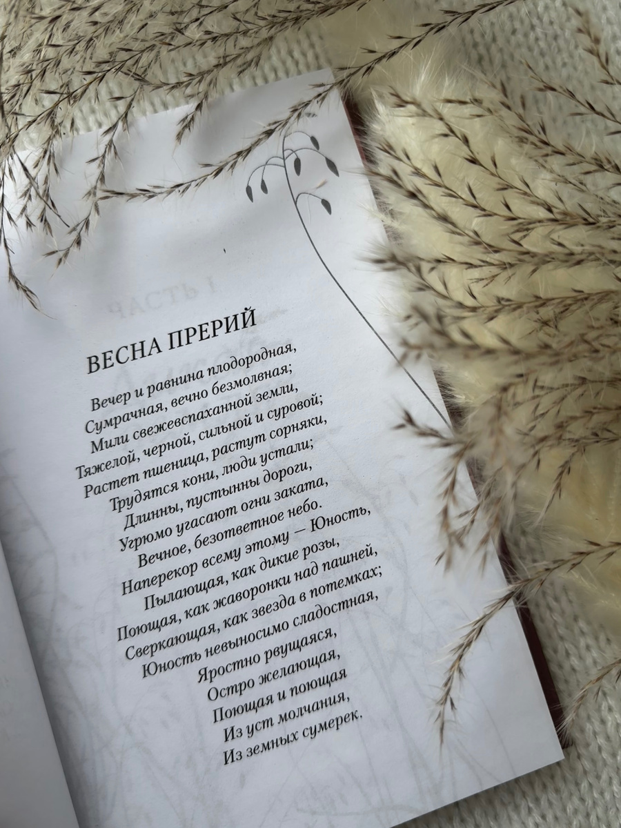 📖 Уилла Кэсер «О, пионеры!»