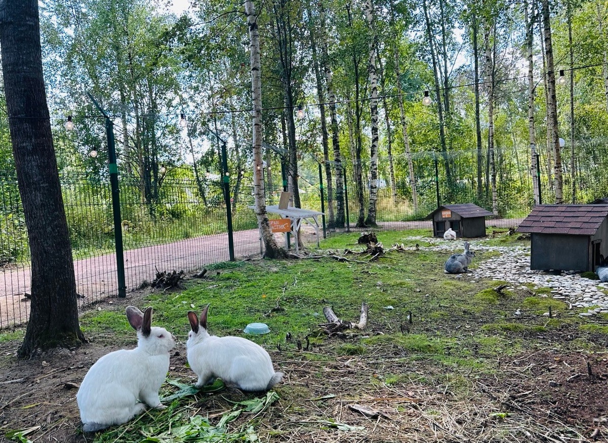 Территория проведения программы