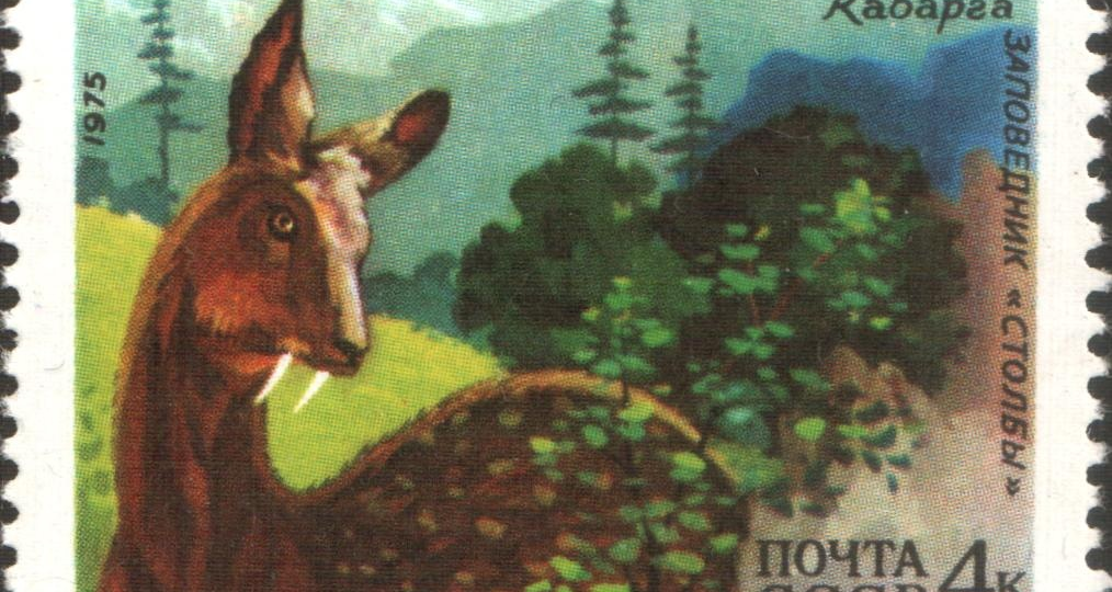 Лекарство за миллиард