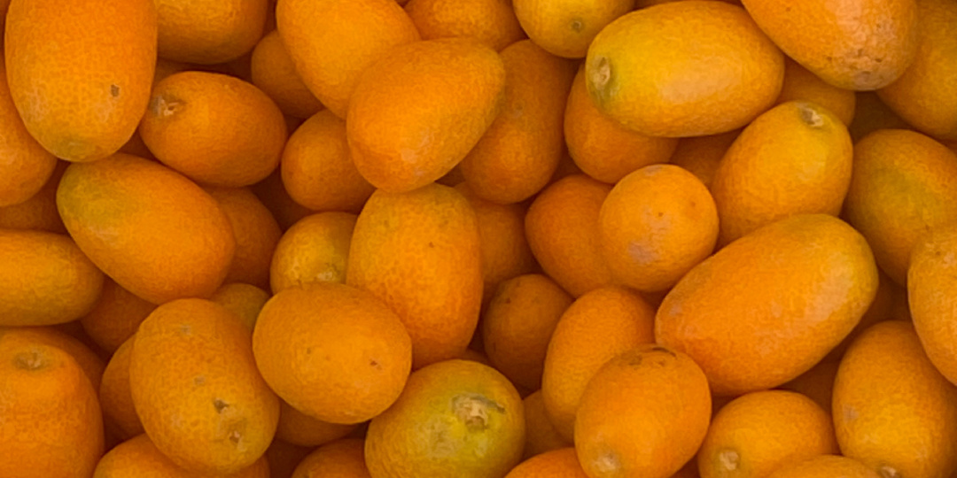 Зимой на фруктовых лавках Египта появляется кумква