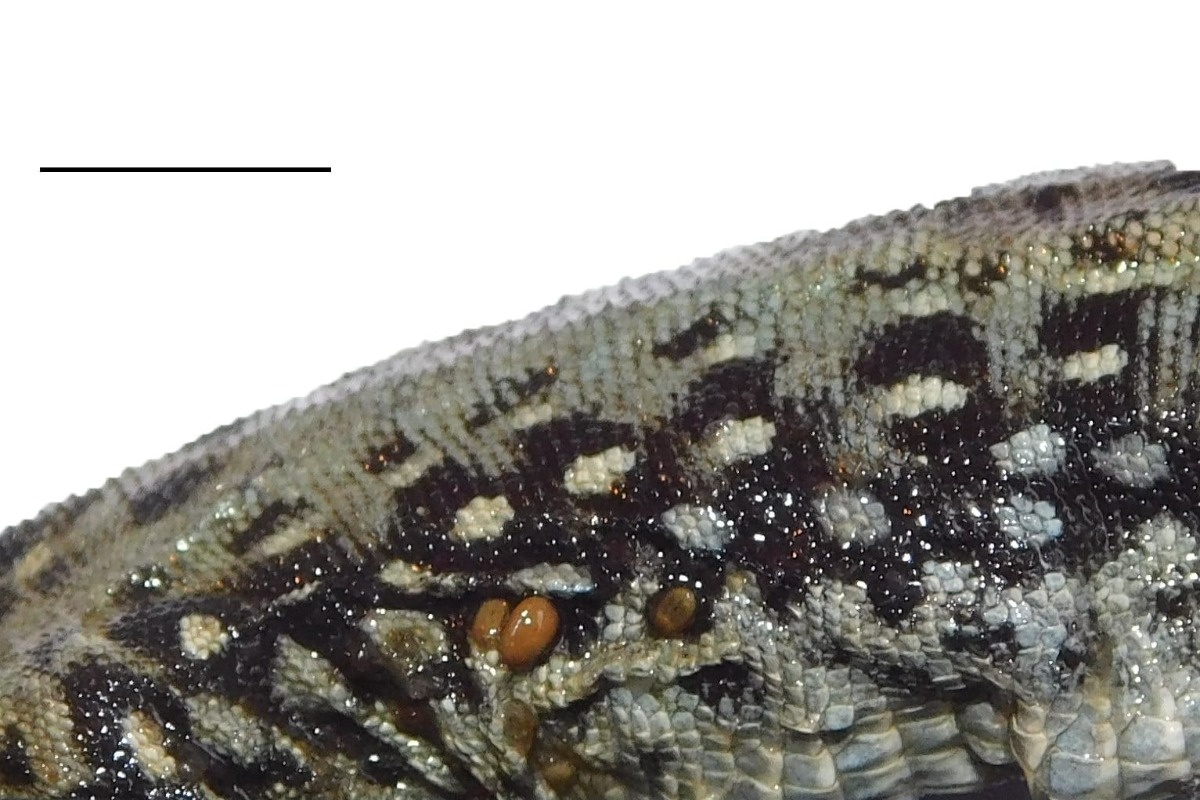    Фото: И. В. Доронин, пресс-служба ТМУ