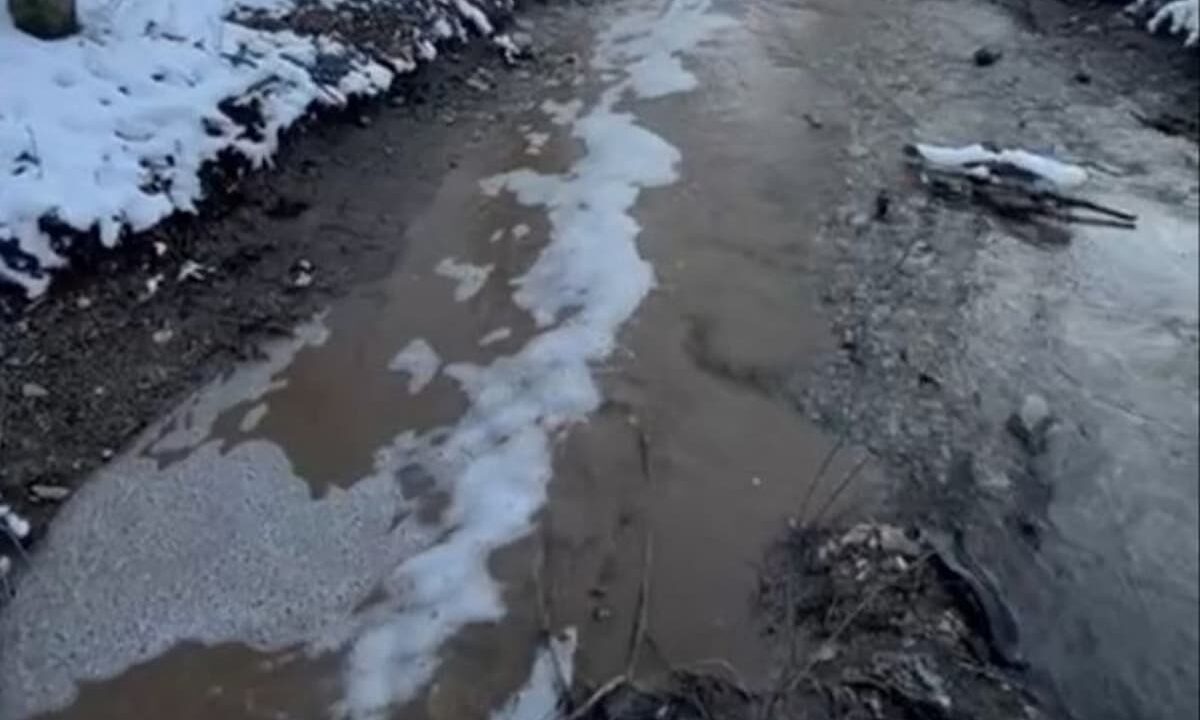    Фото t.me/mkontrol