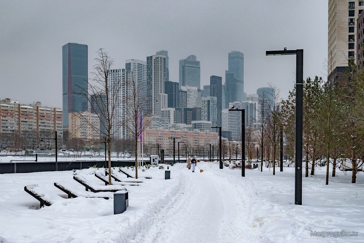 Вид в сторону Шелепихинской кучки