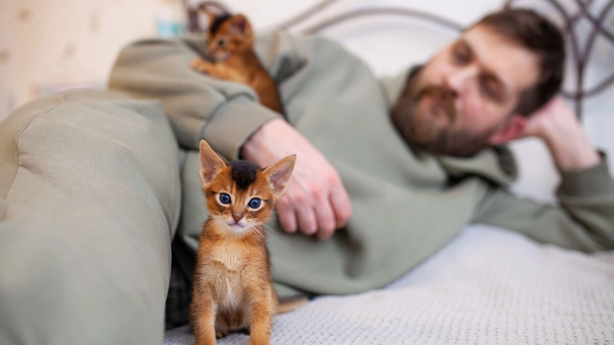    Фото: Nataliabiruk/Shutterstock/Fotodom