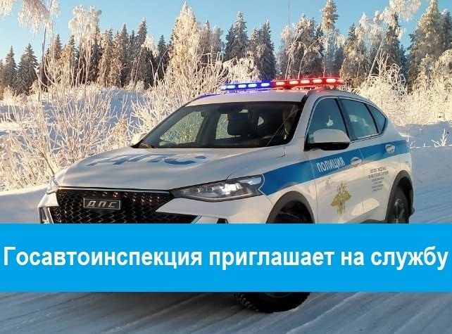    Фото: Госавтоинспекция Карелии / ВК