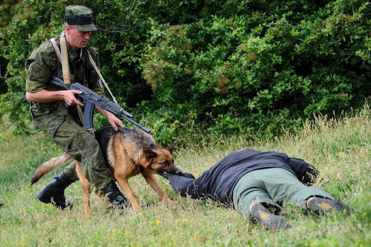 Боевые будни пограничников ФСБ России.