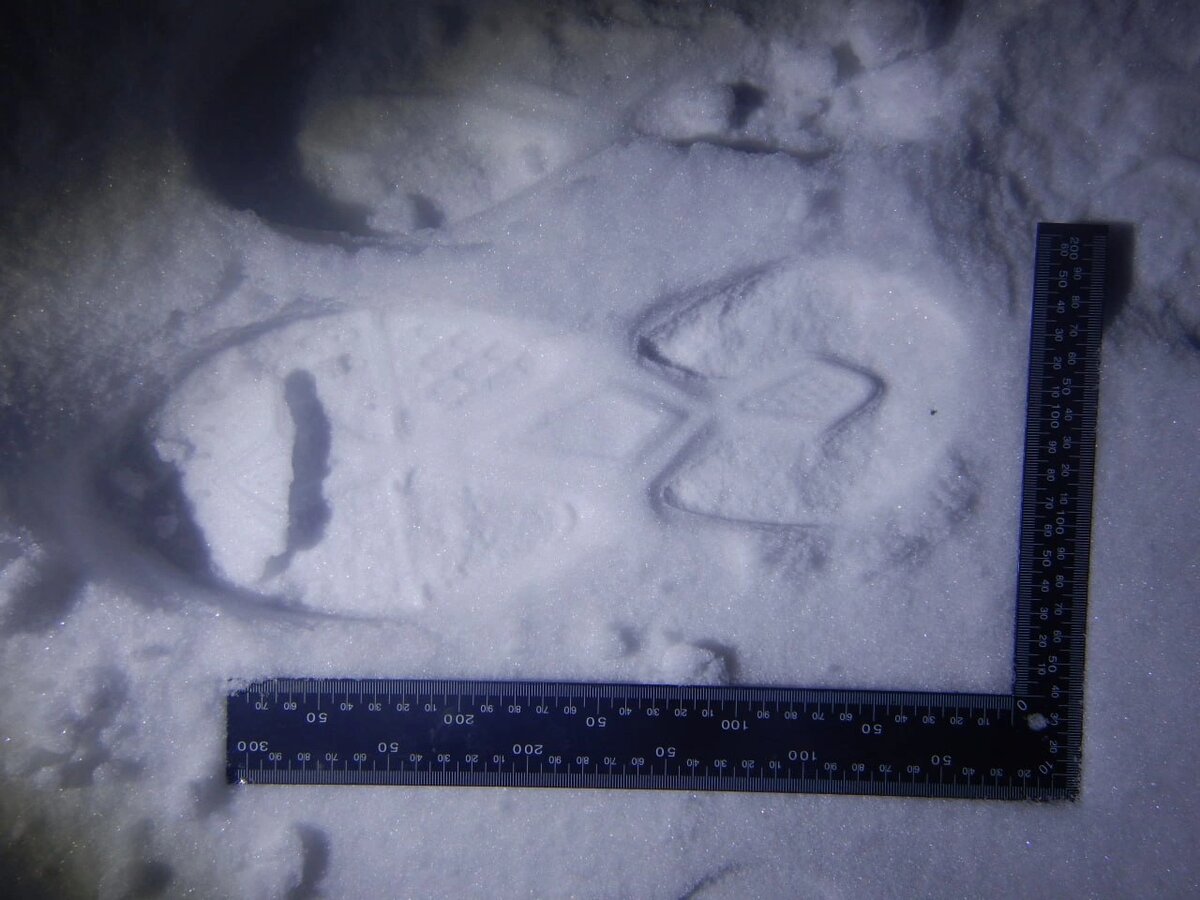    Фото: пресс-служба УМВД по Белгородской области