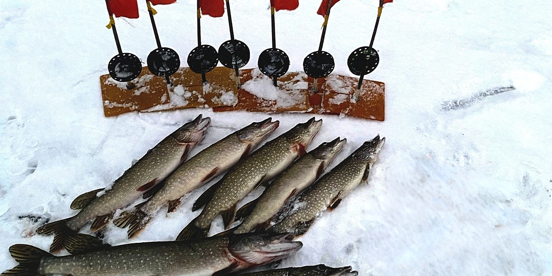 Жерлицы для новичка.