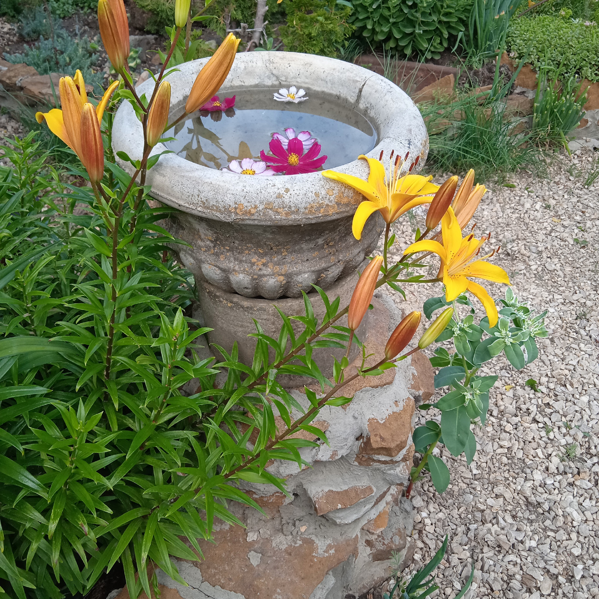 вот такие ляпы