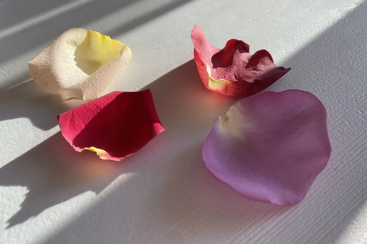 Фото: UfacityNews.ru