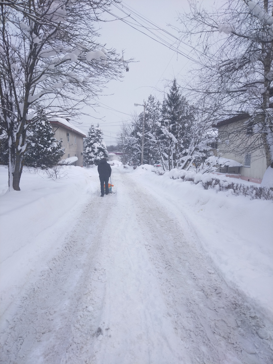 Дороги чищены, на санках ездим легко ✌️