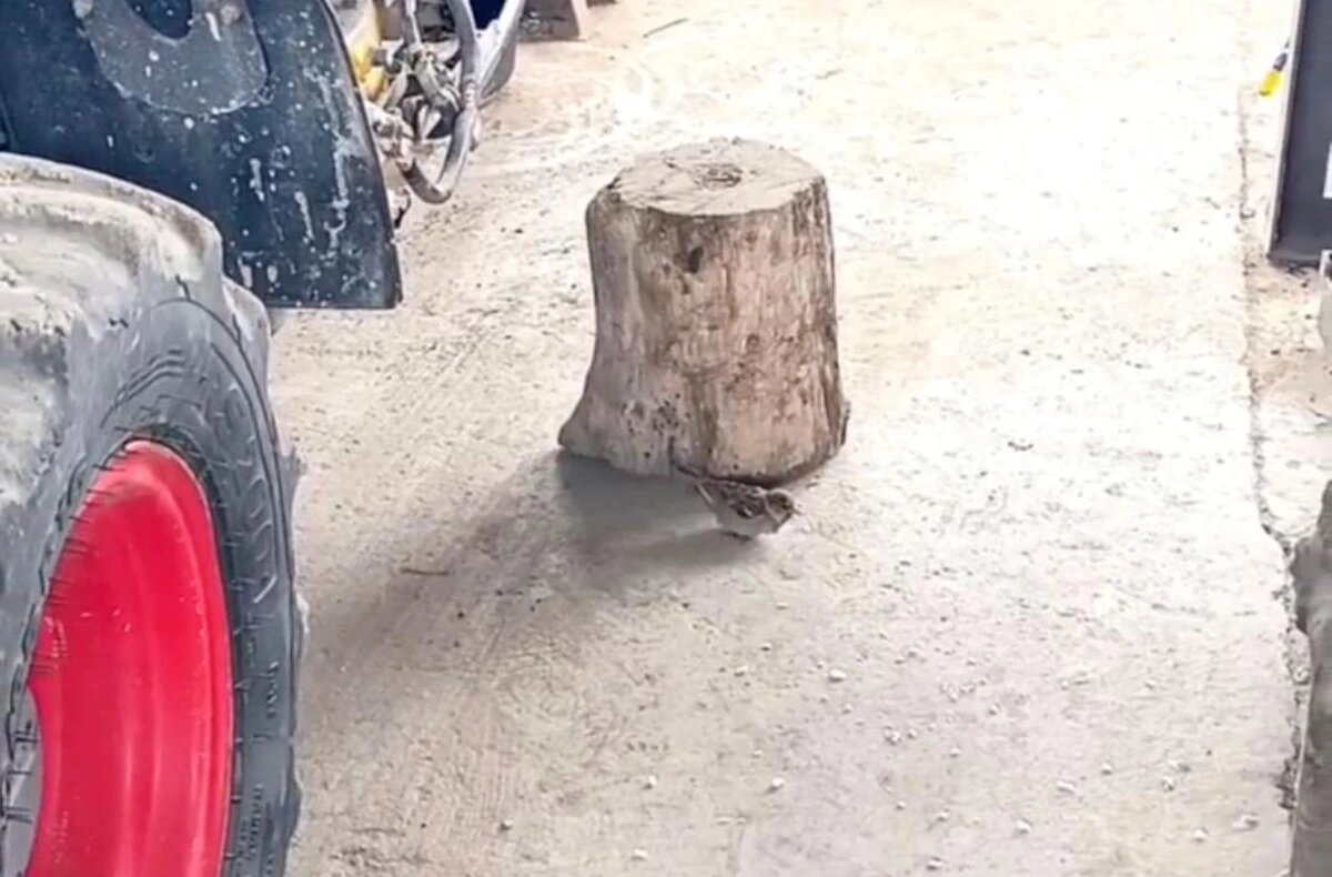    Скриншот видео t.me/lifeabrau