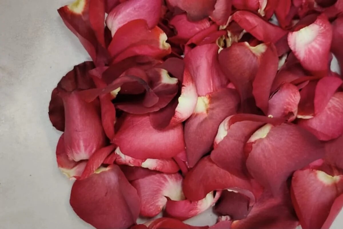 Фото: UfaTime.ru