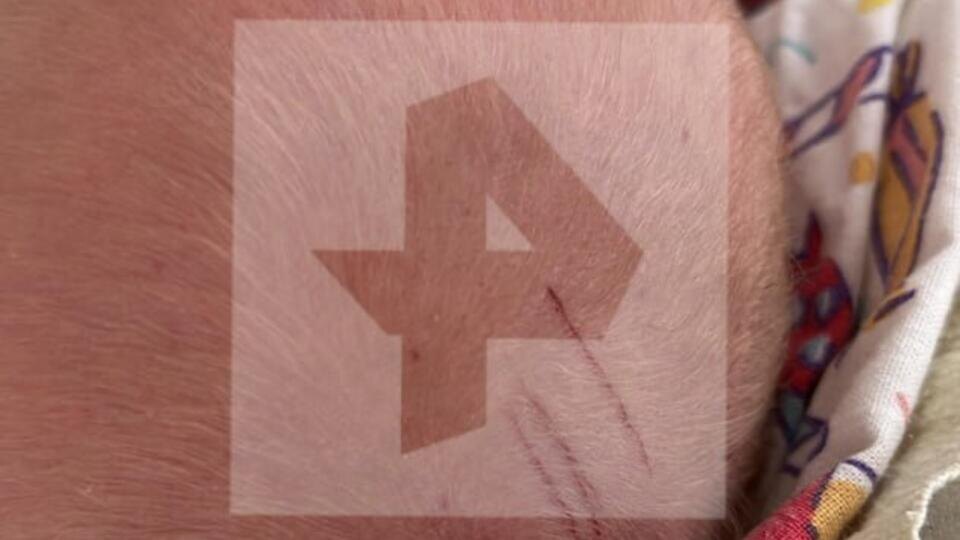 Фото: © РЕН ТВ