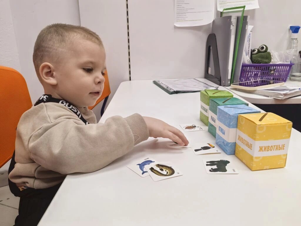 Развивающая игра для маленьких. Сортер: «Животные, птицы, рыбы, насекомые». 