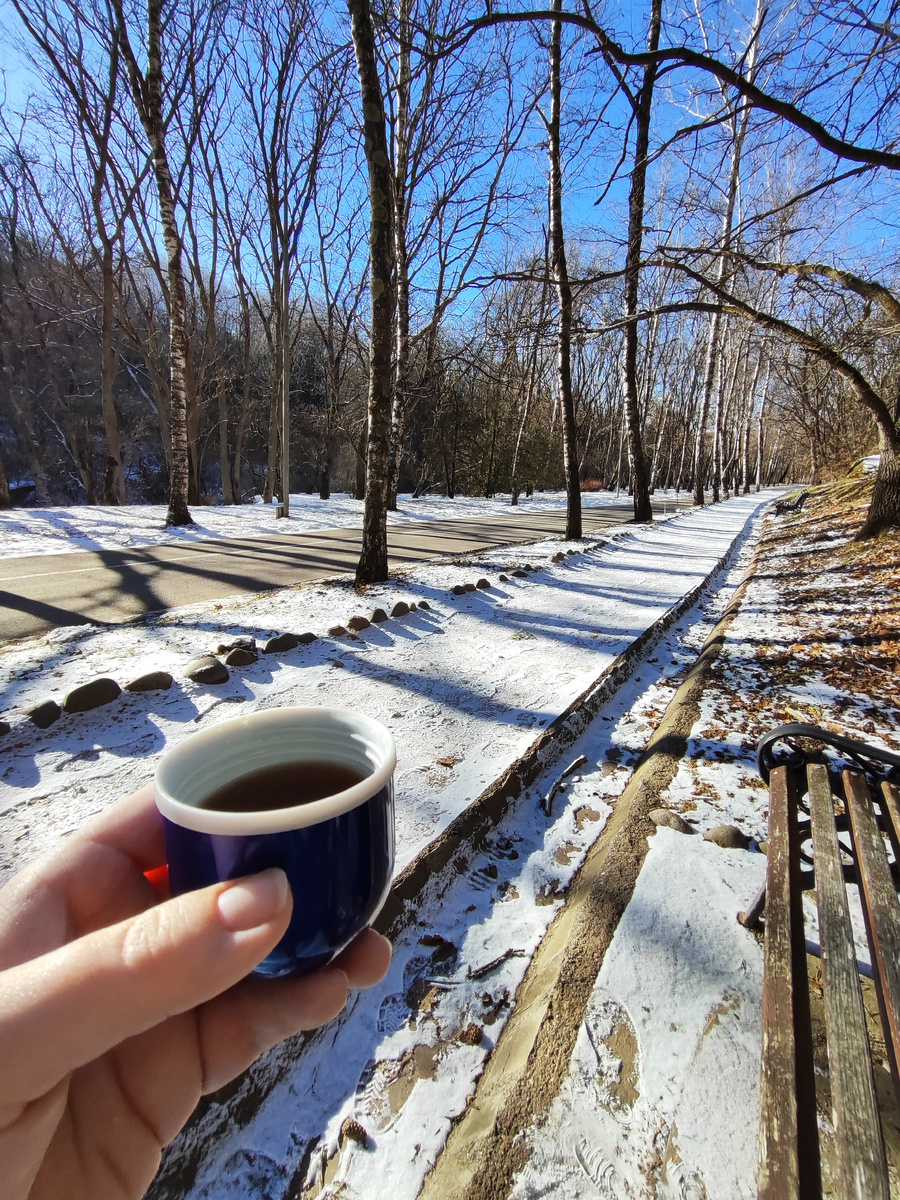 Терренкур №2б, Кисловодский парк - слушаю тишину! (январь 2026 года)