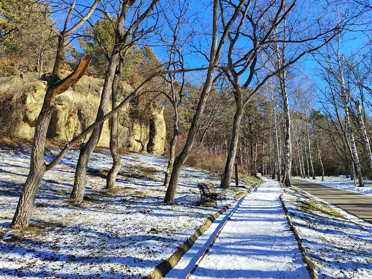 Терренкур №2б, Кисловодский парк (январь 2026 года)