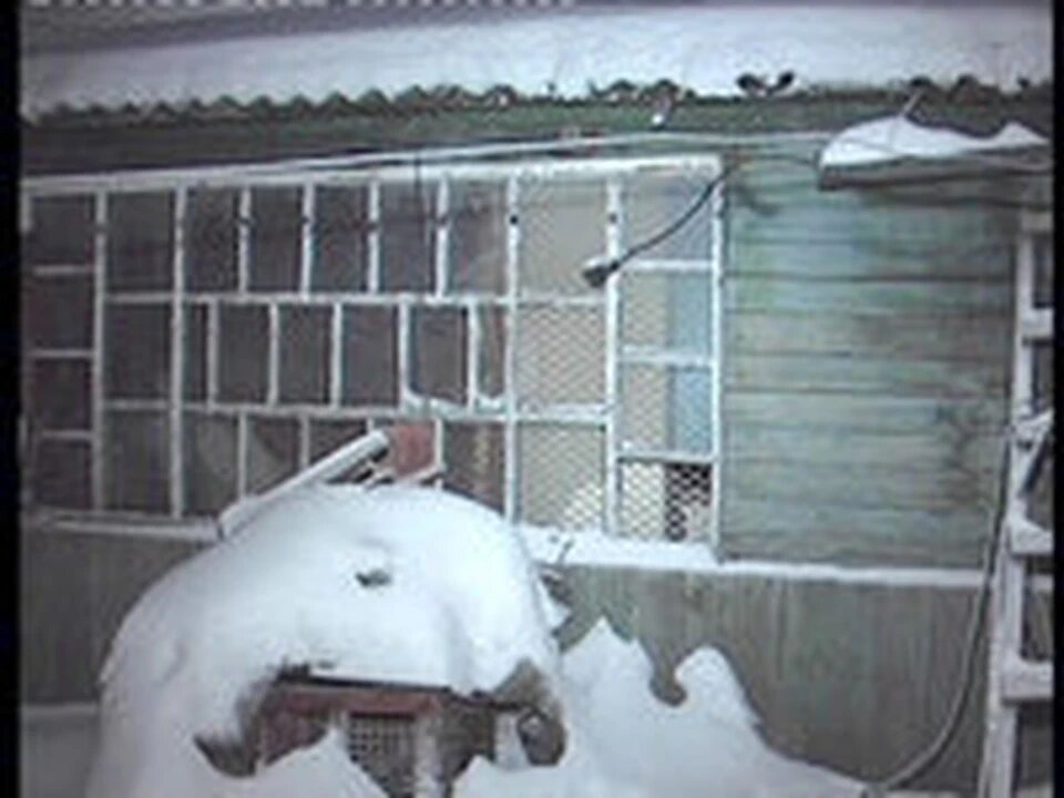 В этом доме все и произошло