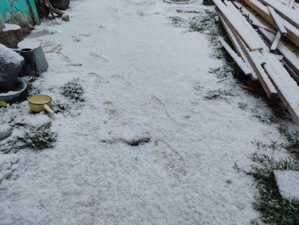 И только следы к сарайкам )))