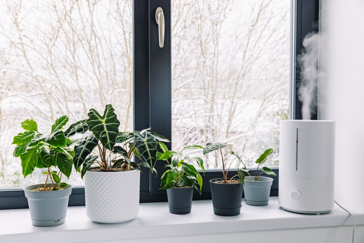 Фото носит иллюстративный характер