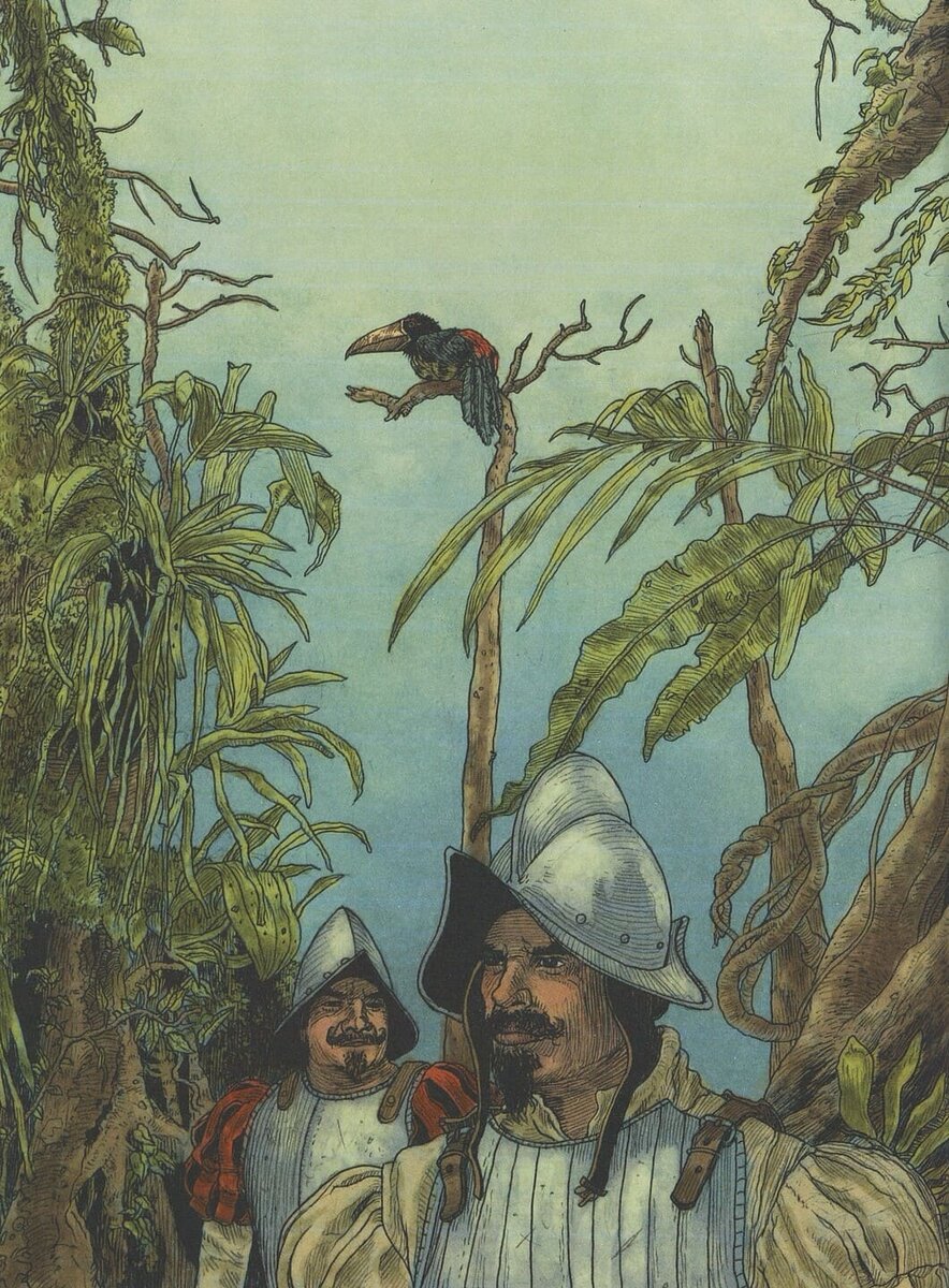 художник Тим Кёллер