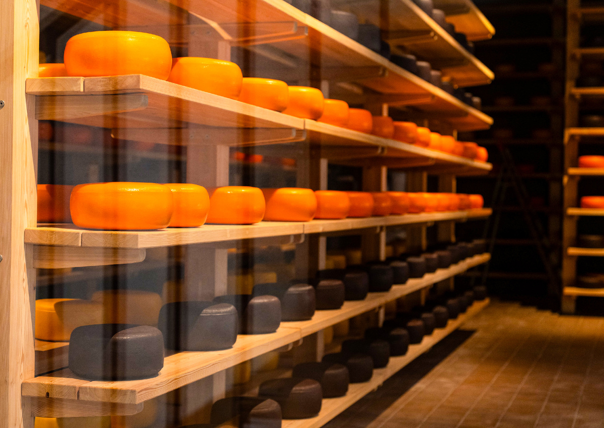 Завод сыров "Рота-Агро"