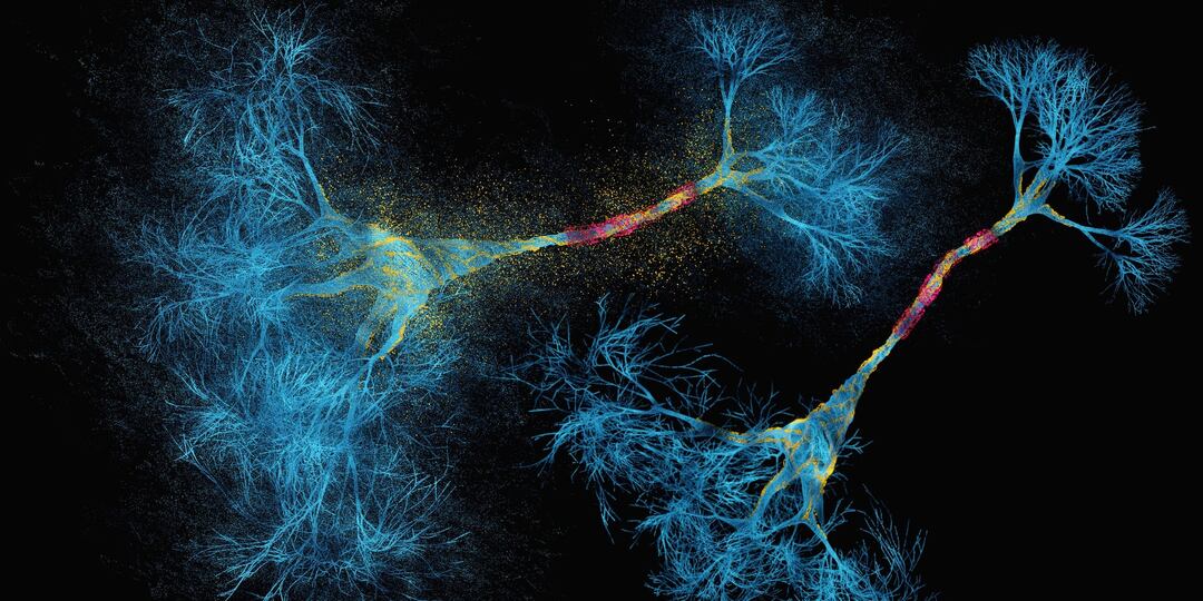 Струны Вселенной в Сетях Мозга: Может Ли Физика Разгадать Тайны Сознания?