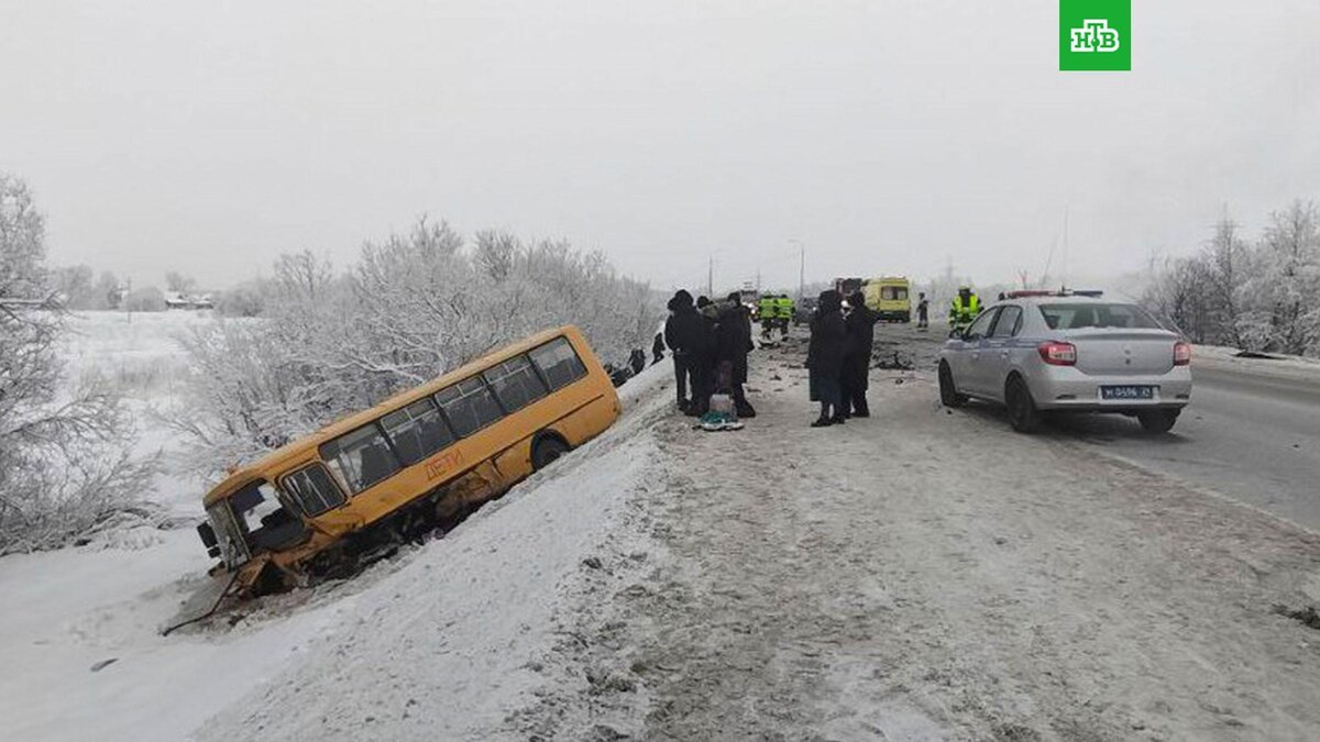    Фото: umvd29 / t.me