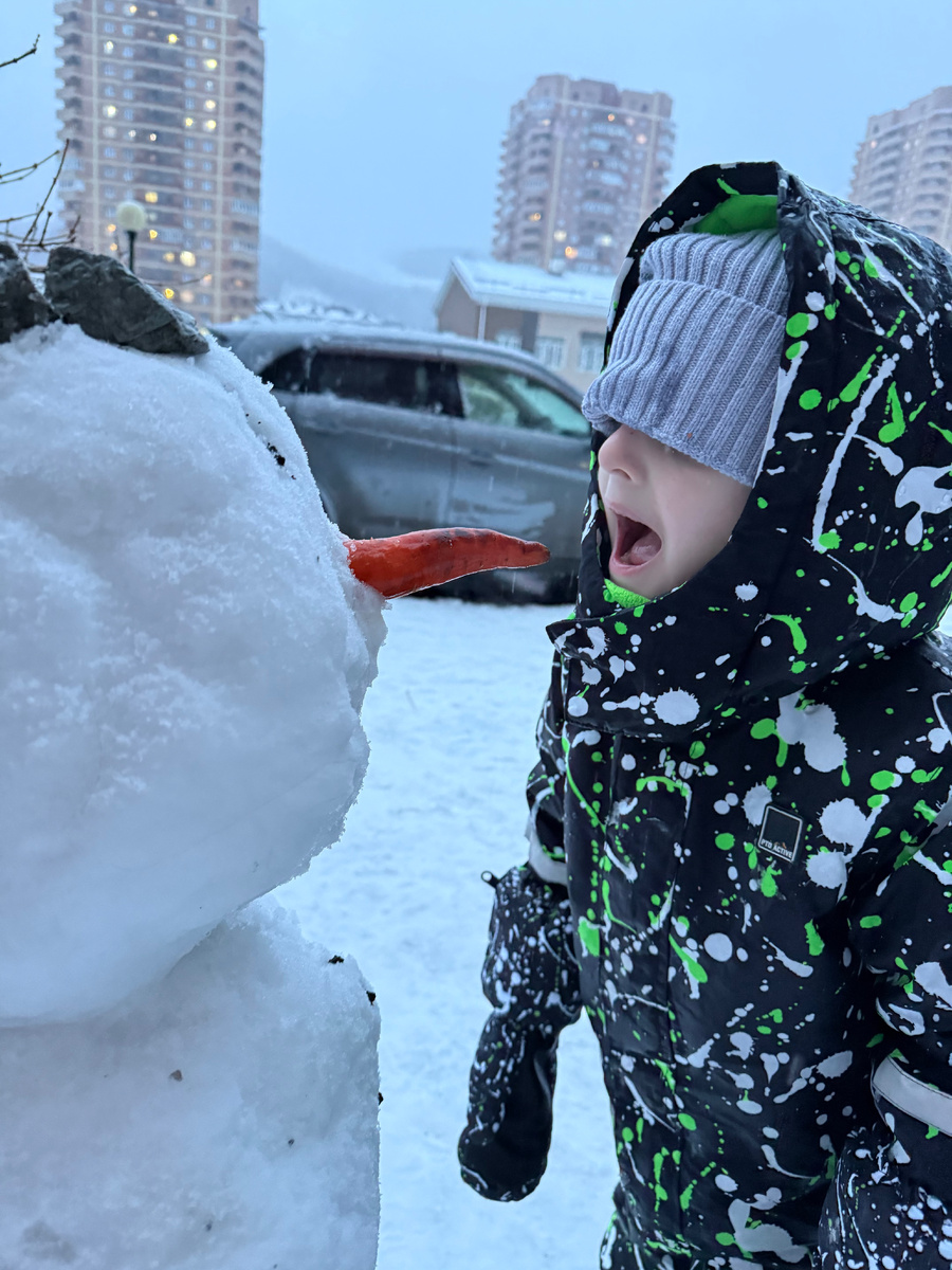 Ни один снеговик не пострадал)