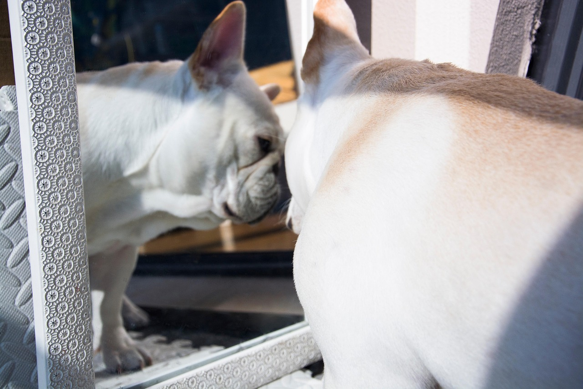 Фото: m20143407 / Pixabay