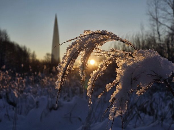 Фото: Галина Смирнова. https://vk.cc/cTrbcn