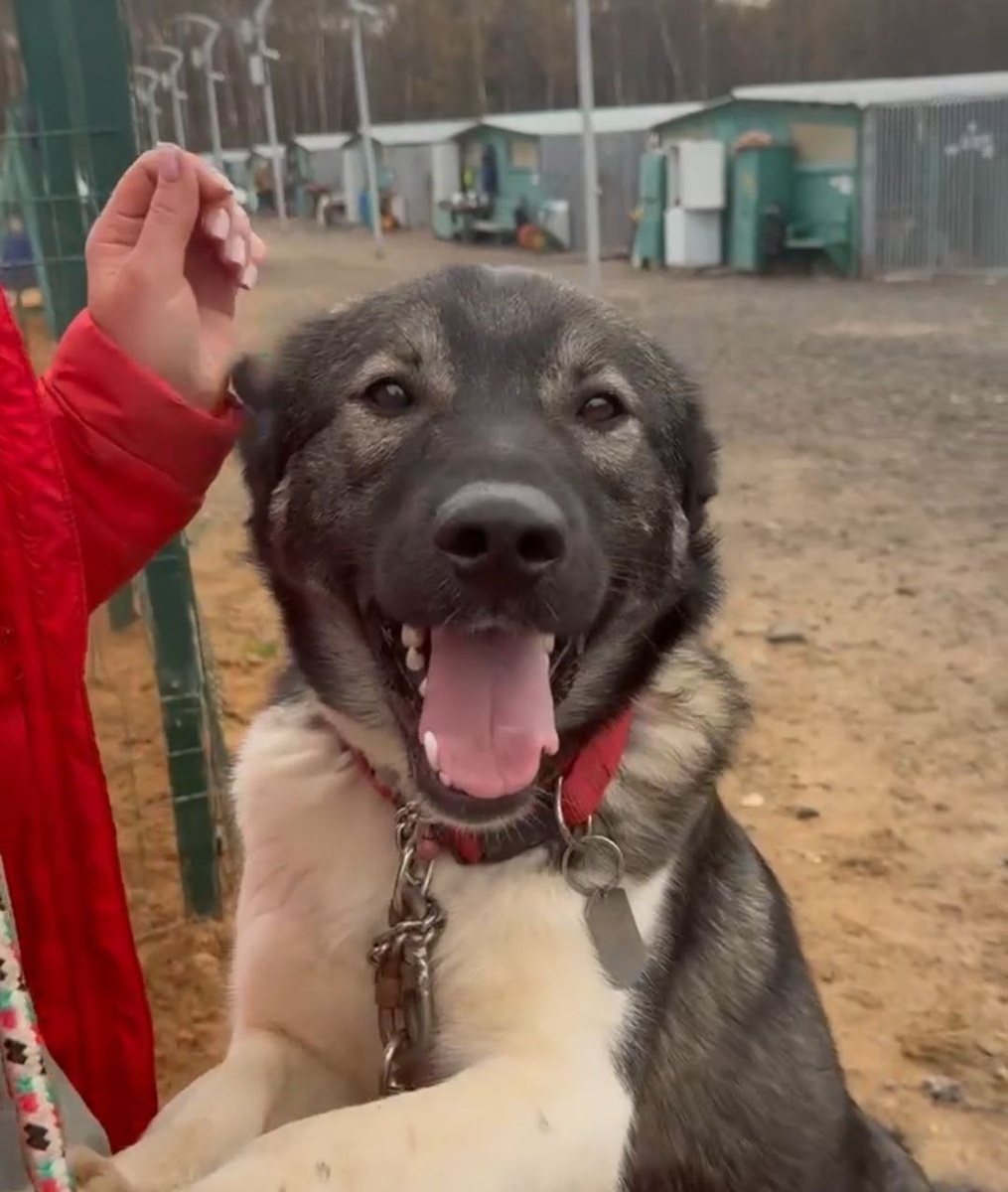 Да не бойтесь меня! Я же весь состою из бабочек и цветочков