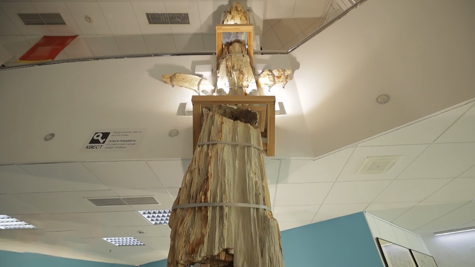 ФОТО: Кадр из программы "Загадки человечества", РЕН ТВ