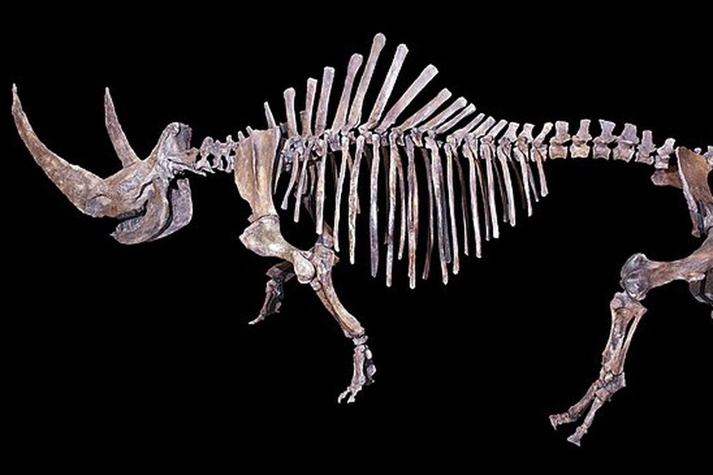    Фото © Wikipedia