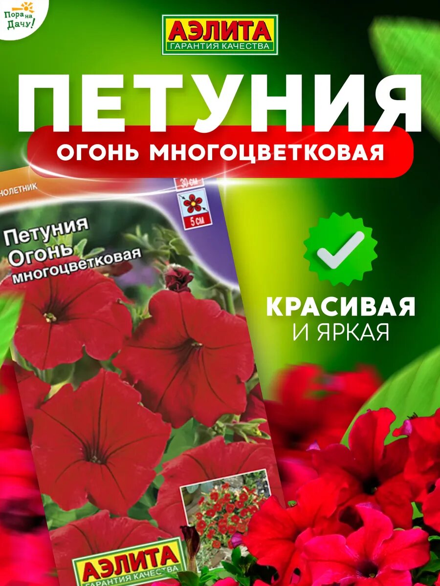 Понравилось