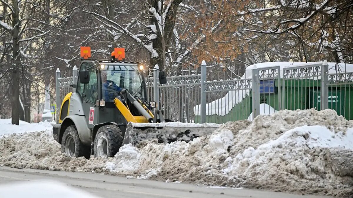     © АГН "Москва"