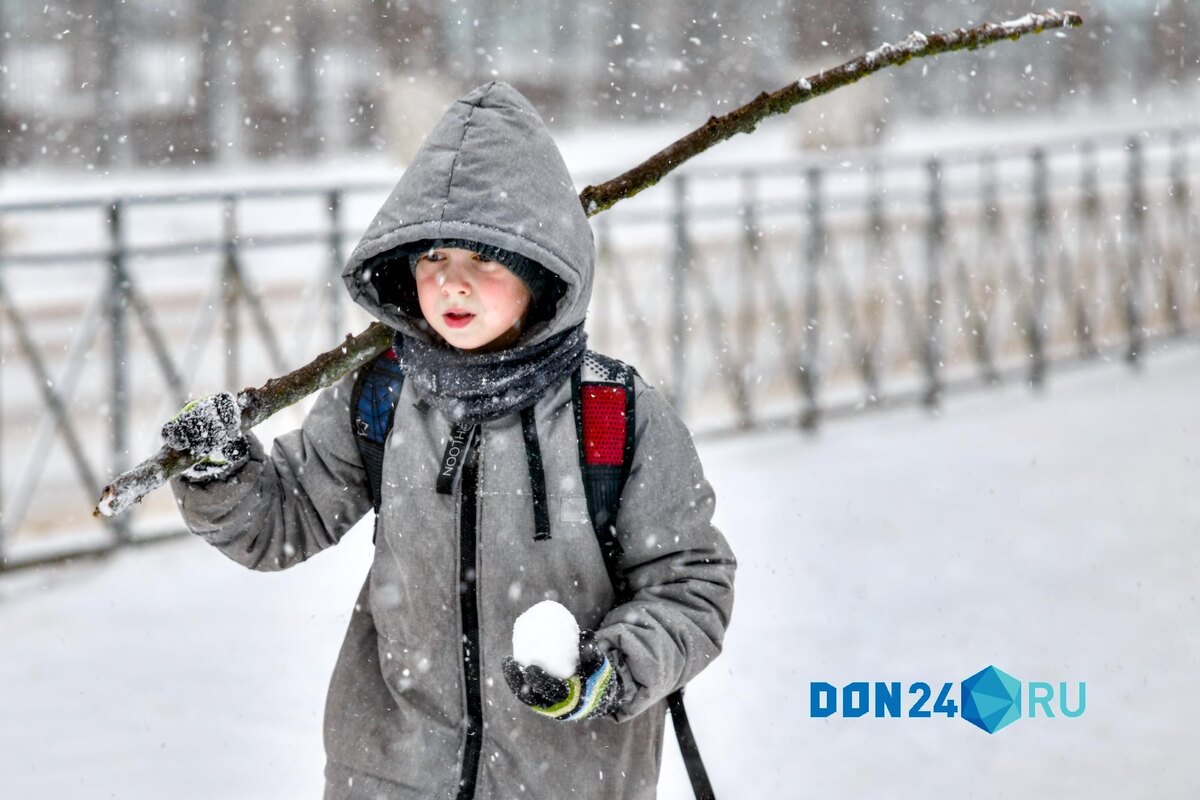    ДОН24   📷   ДОН24   📷   ДОН24   📷   ДОН24