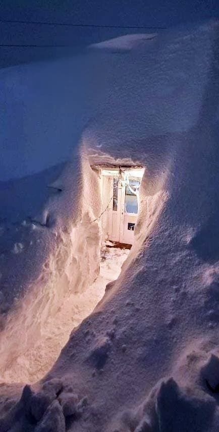    Сергей Кибиц