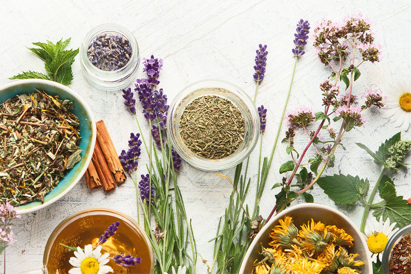 Фото: Tatjana Baibakova/FOTODOM/Shutterstock