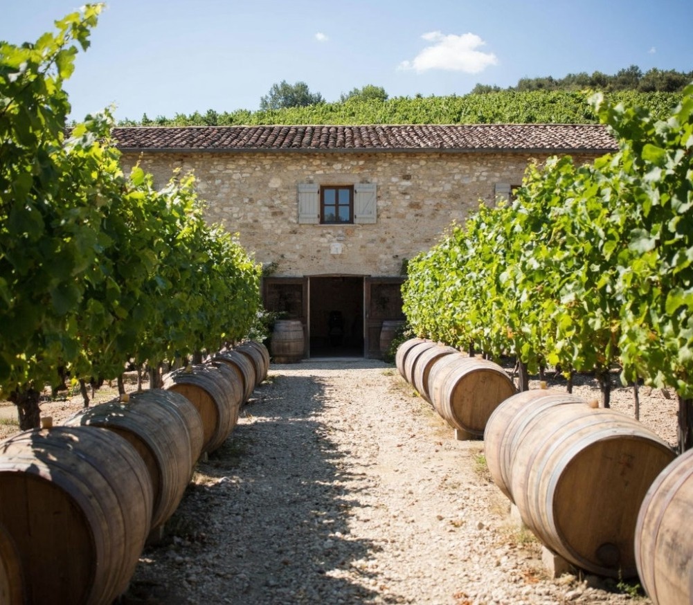    Нижегородские винодельни станут объектами сельского туризма