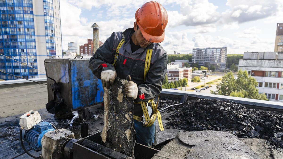    Фото: vk.com/spbfkr